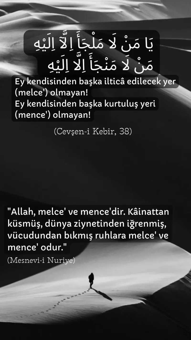 Vecize