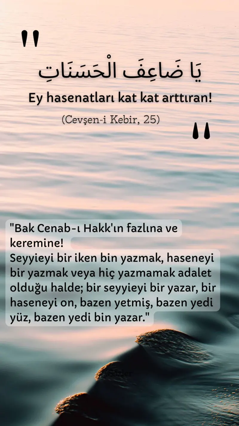 Vecize