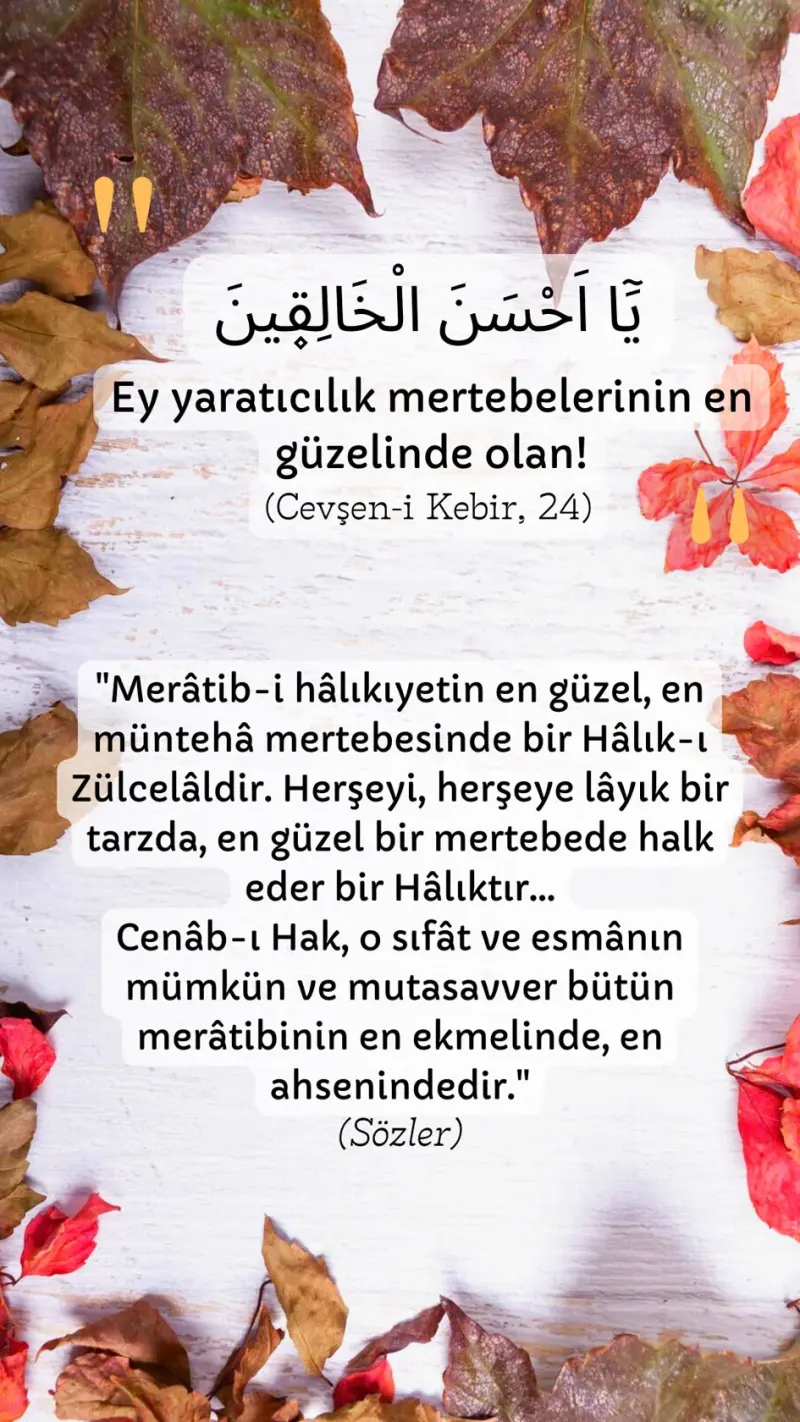 Vecize