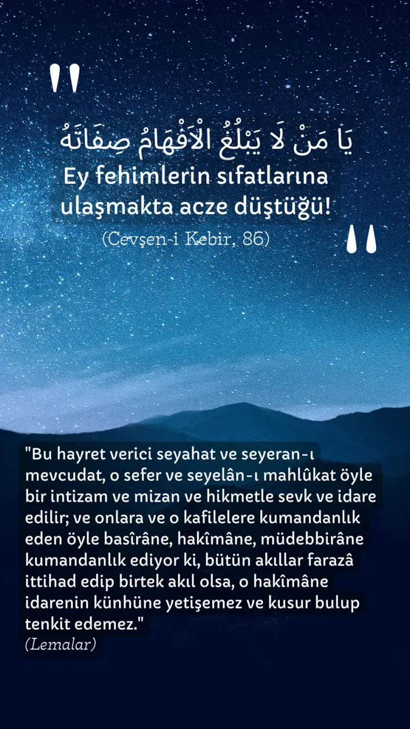 Vecize
