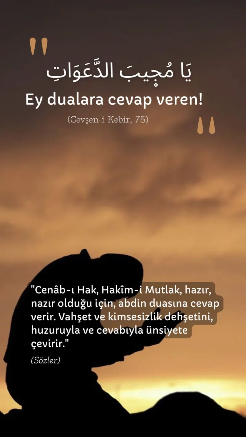 Vecize