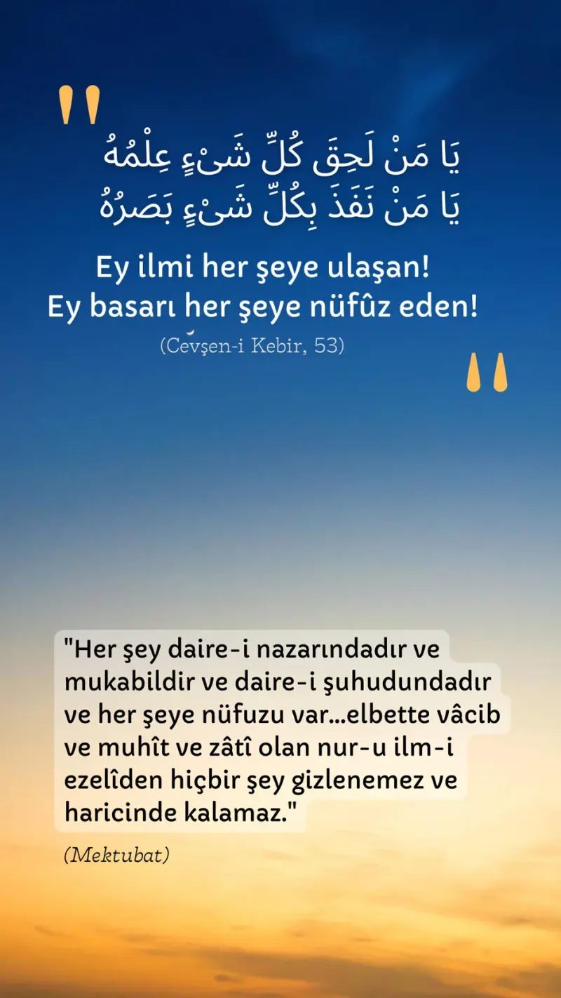 Vecize