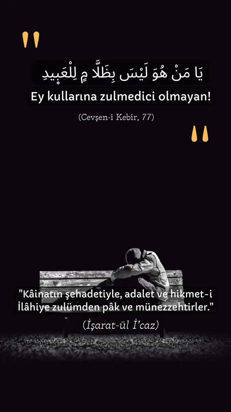 Vecize