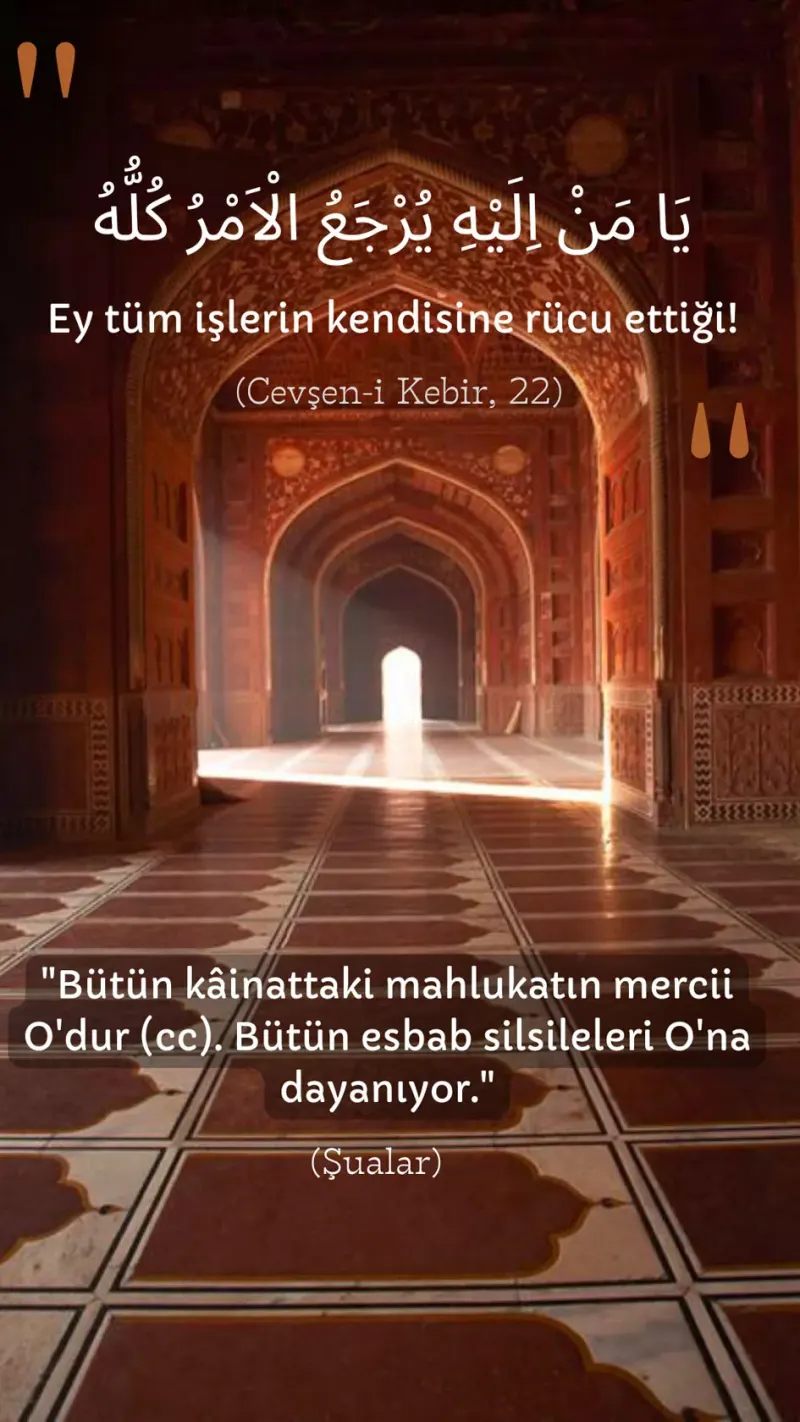 Vecize