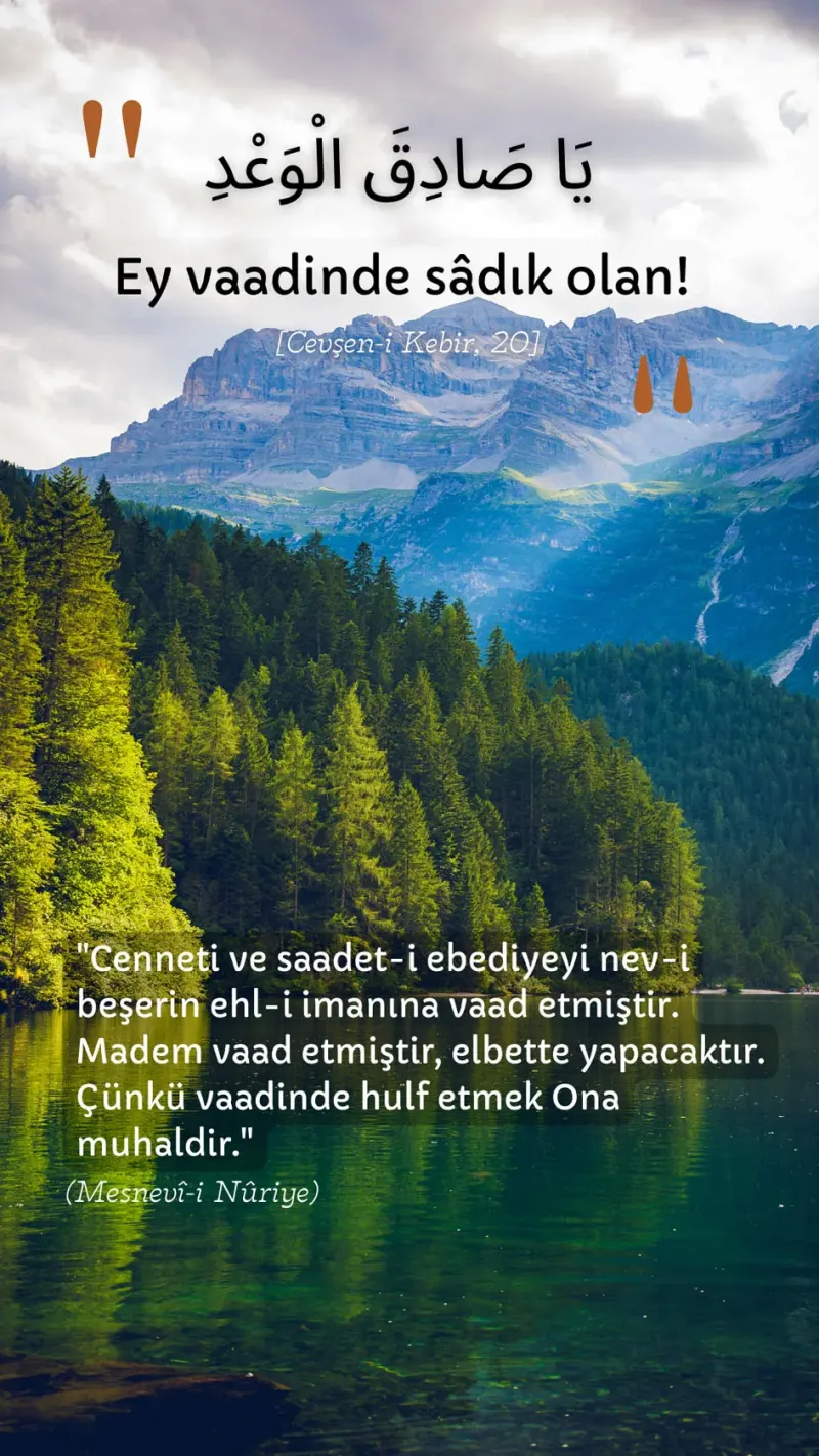Vecize