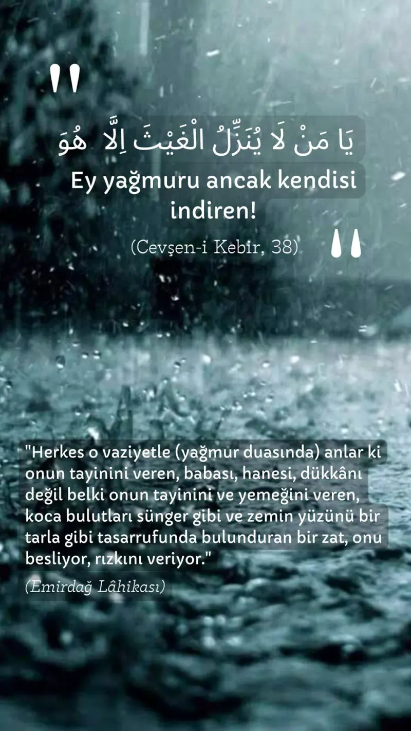 Vecize