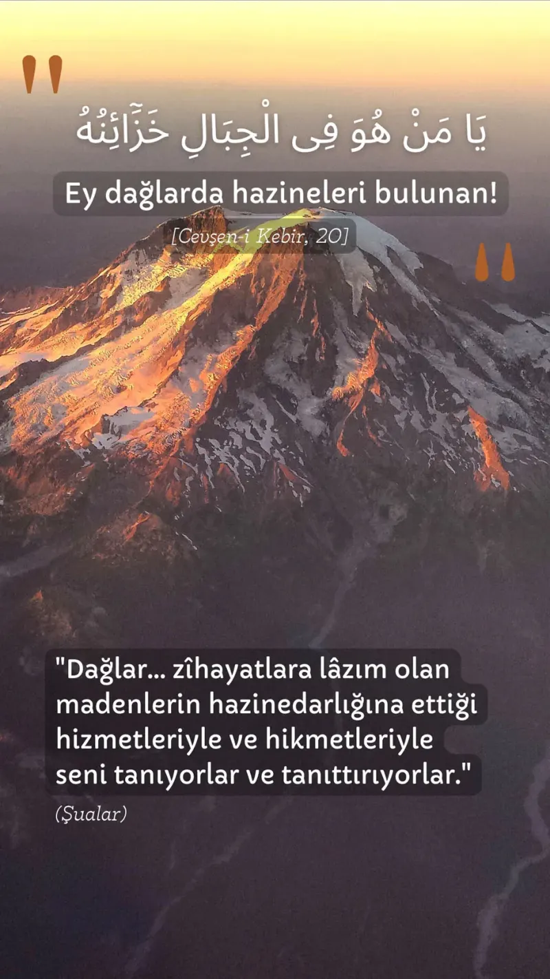 Vecize