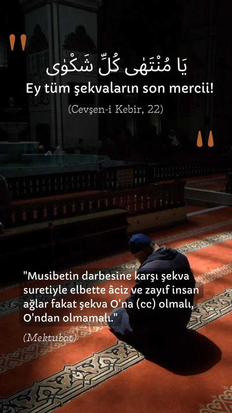 Vecize