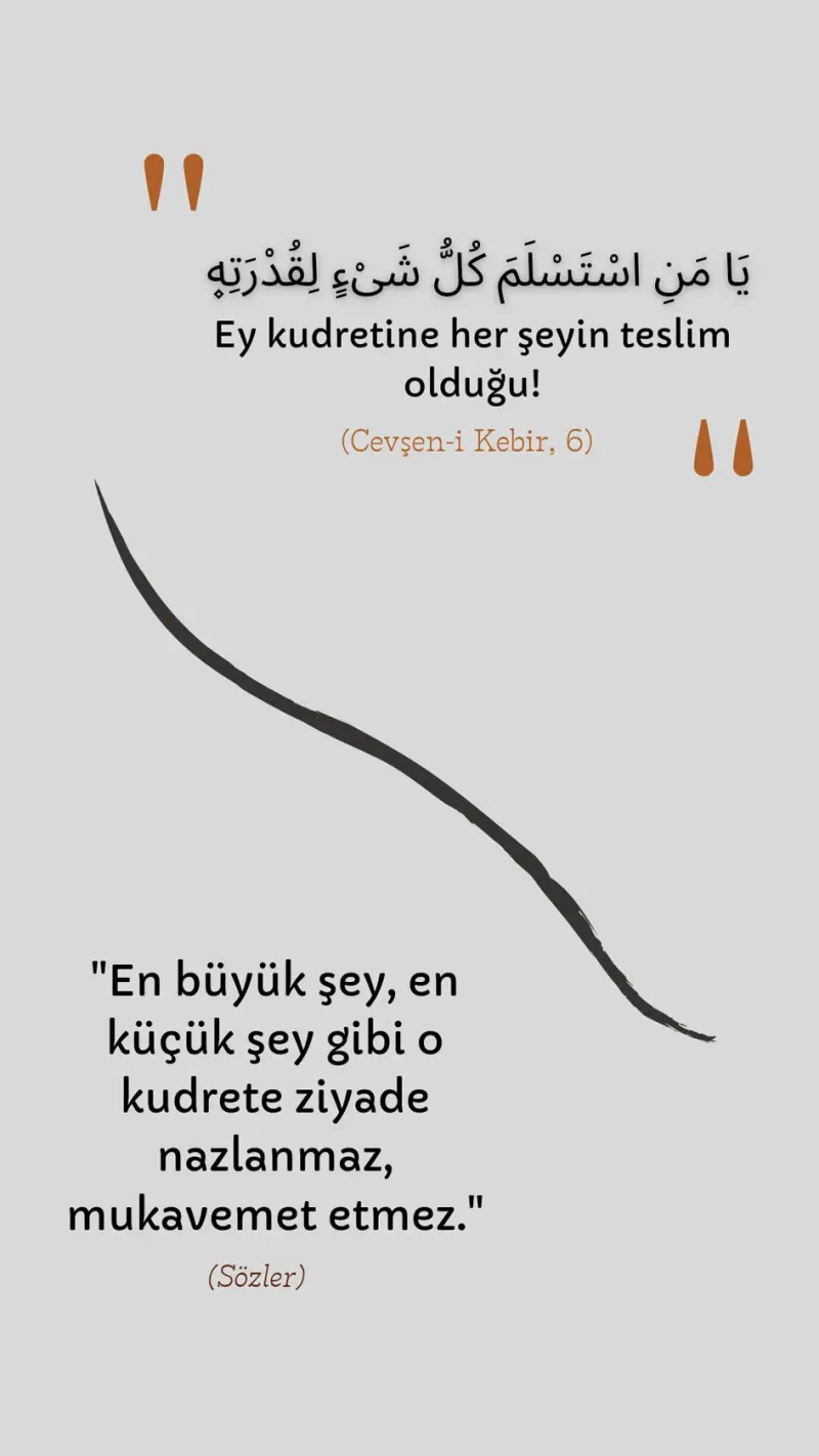 Vecize
