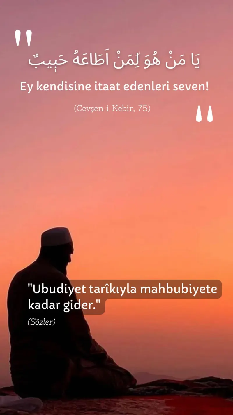 Vecize