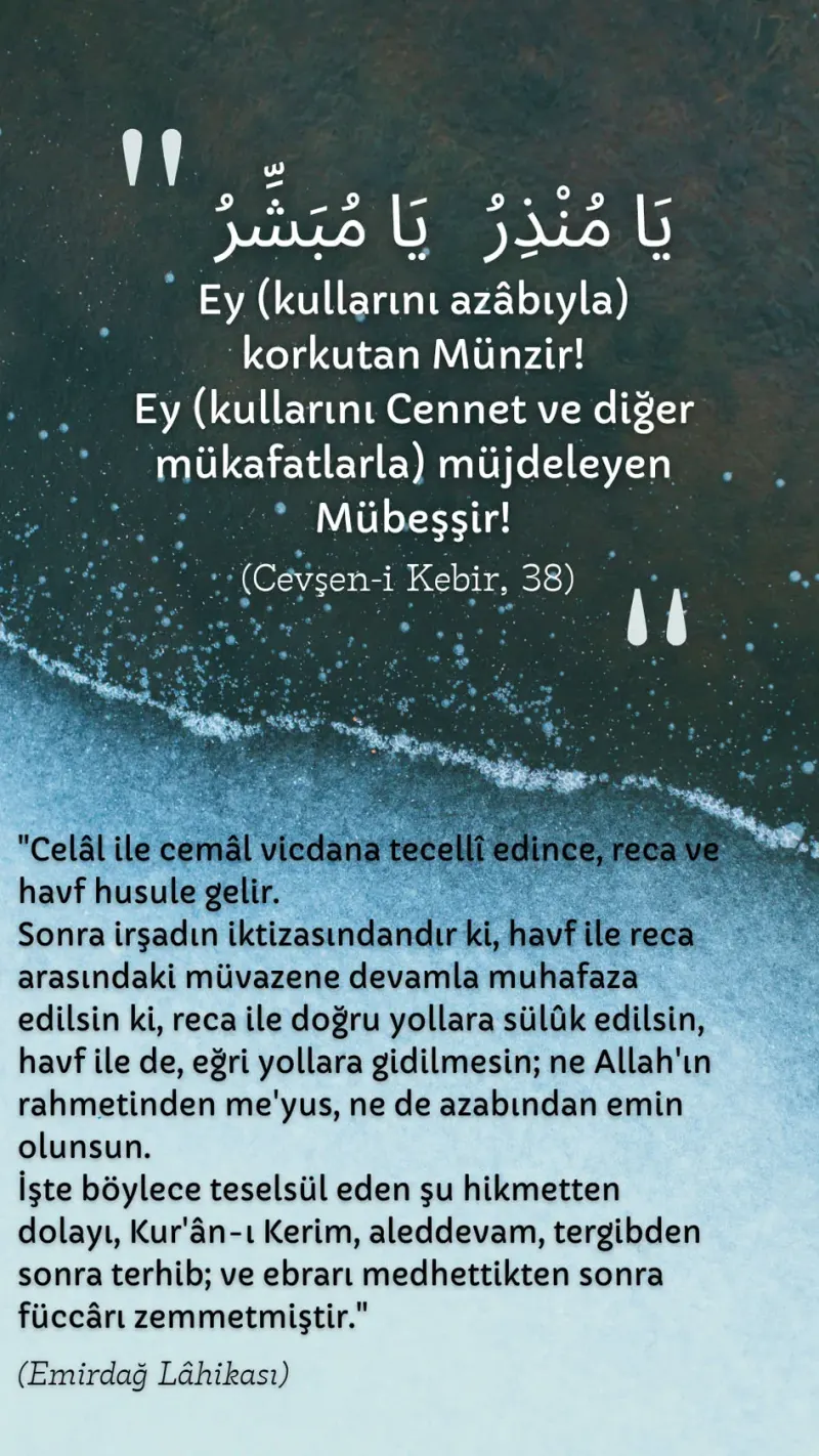 Vecize