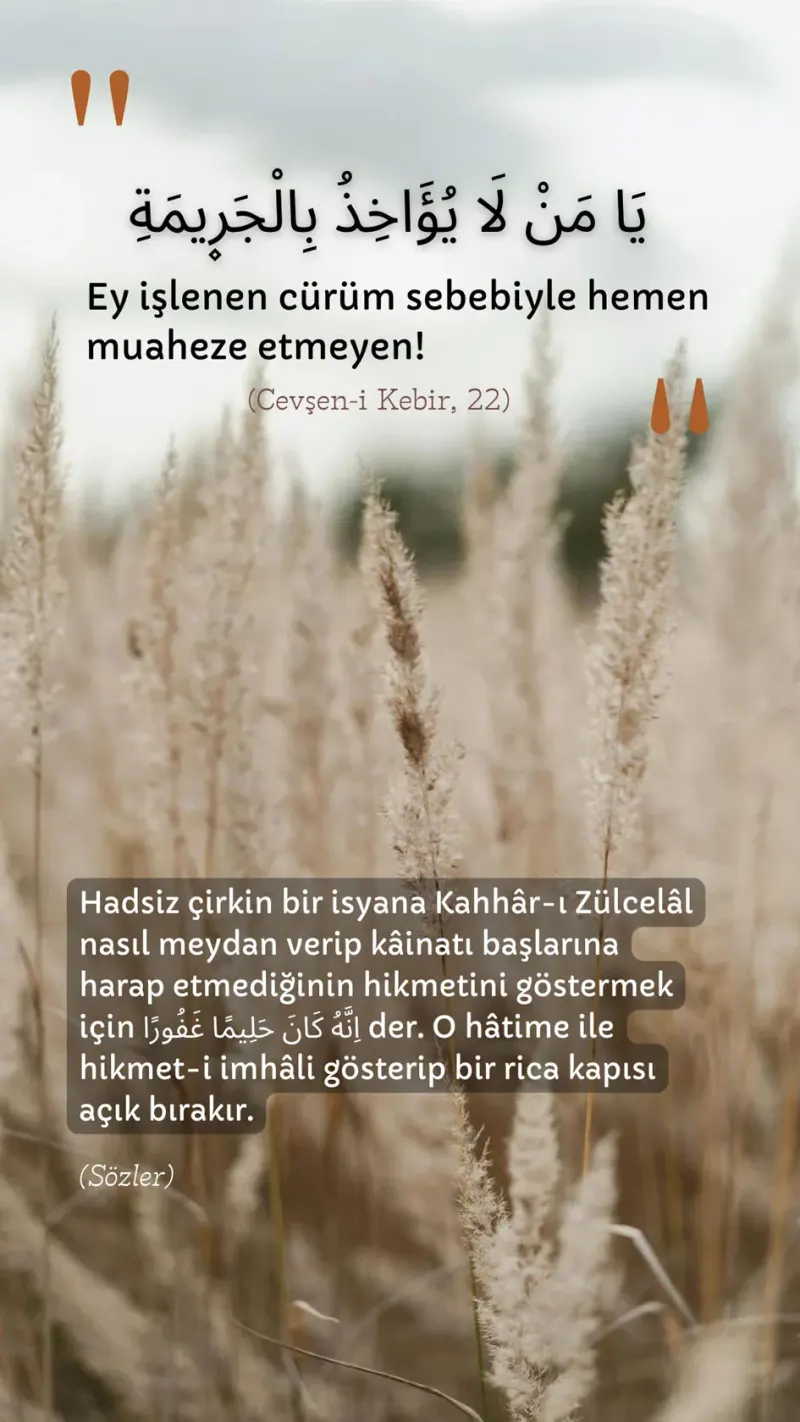 Vecize