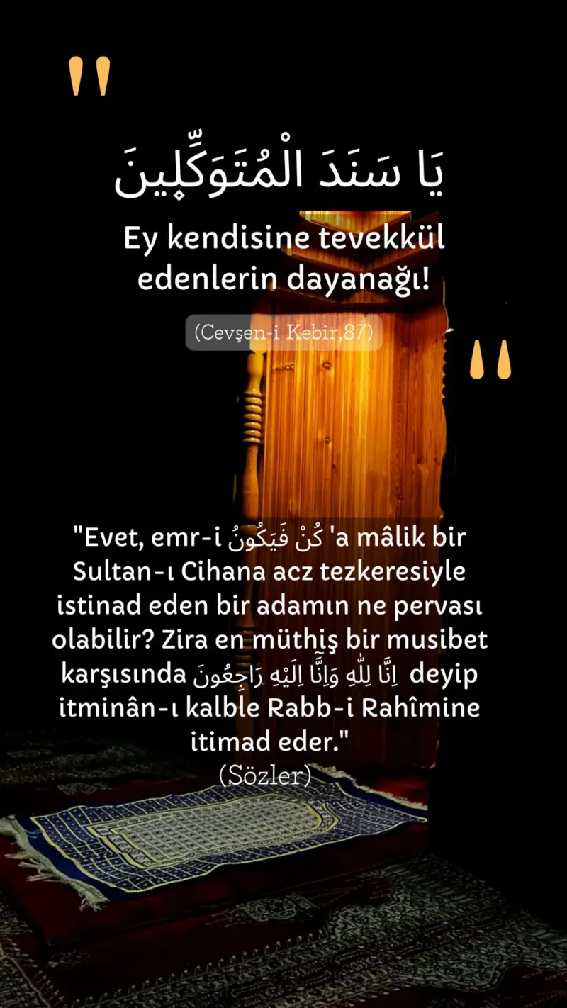 Vecize