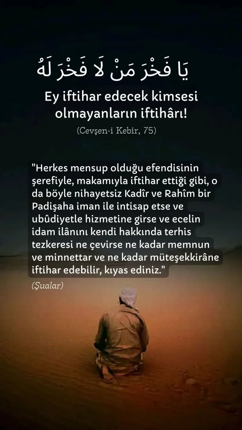 Vecize