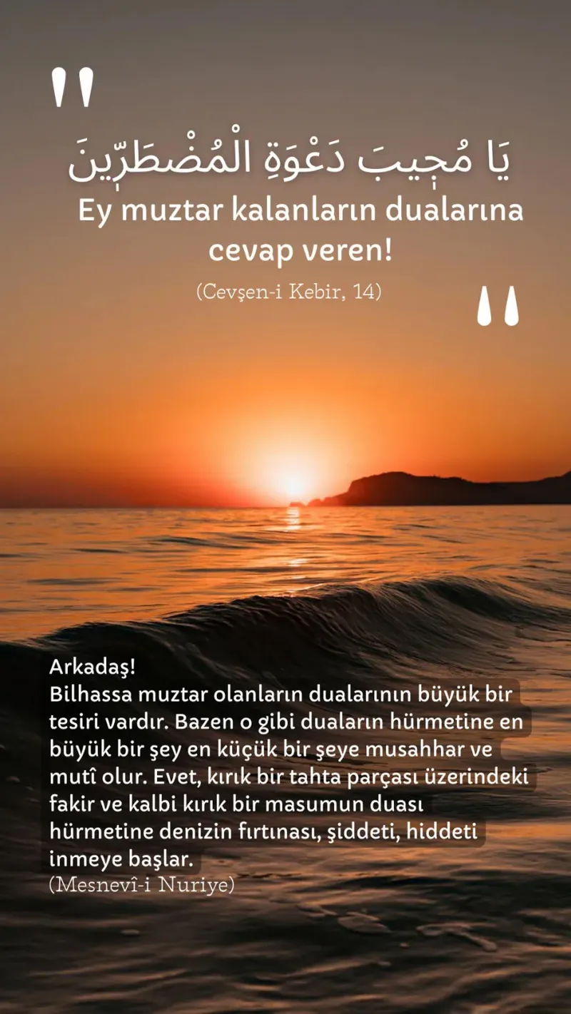 Vecize