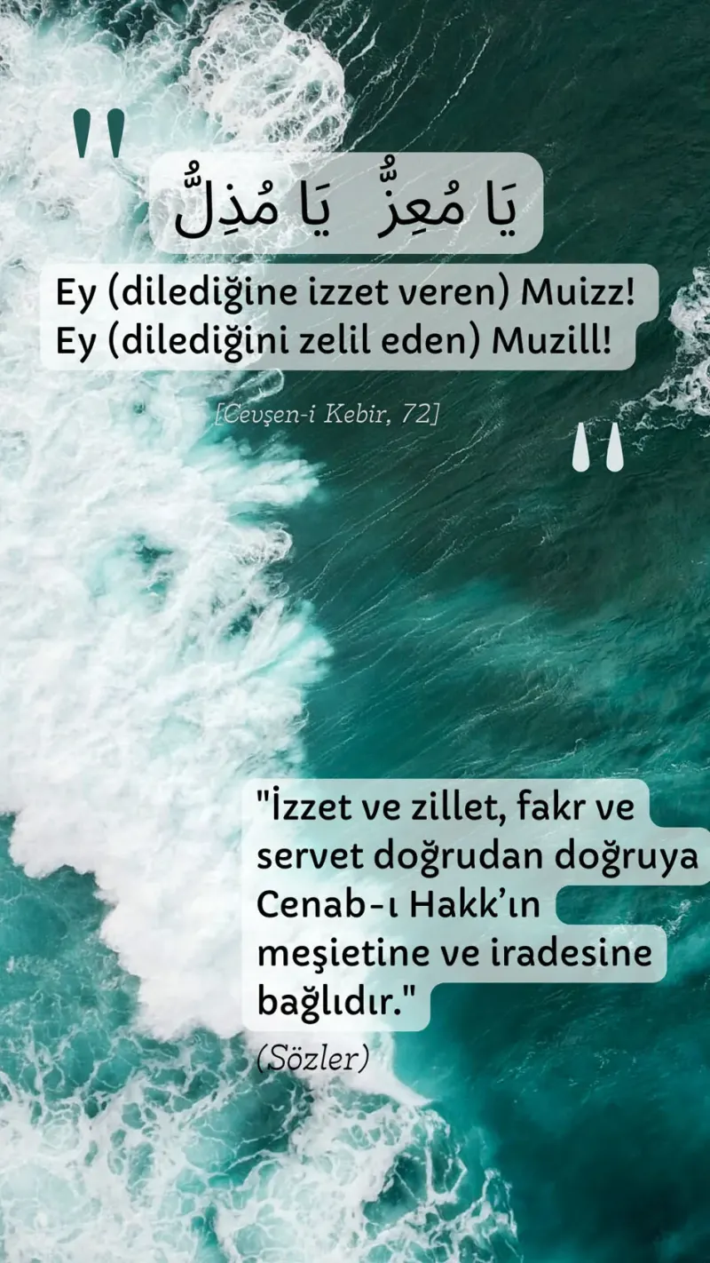 Vecize