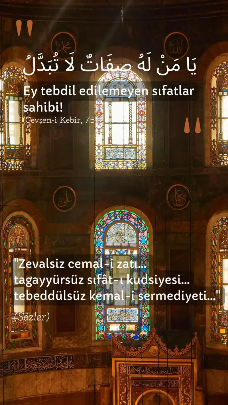 Vecize