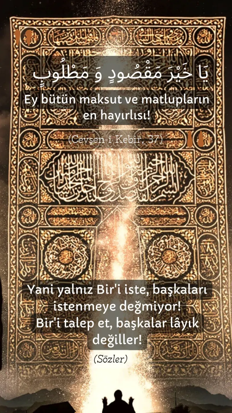 Vecize