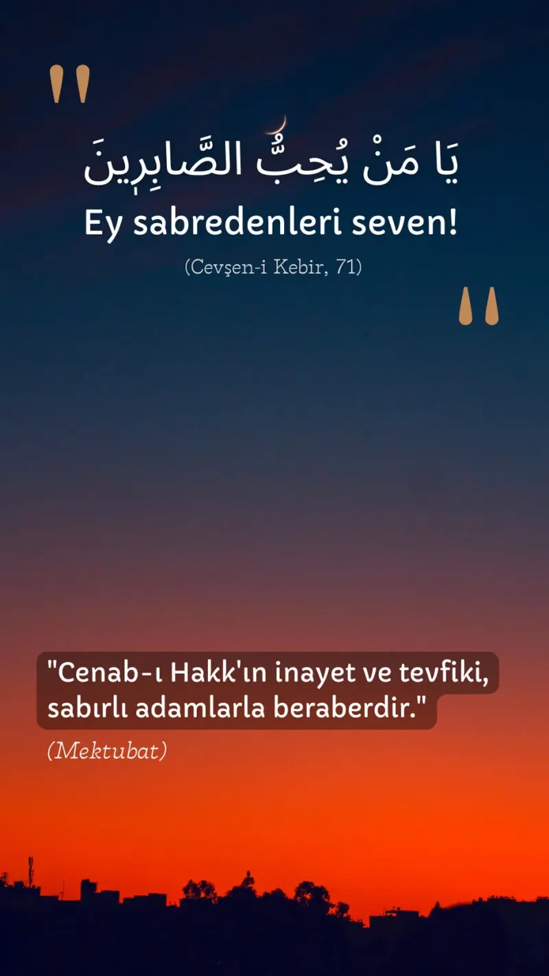 Vecize