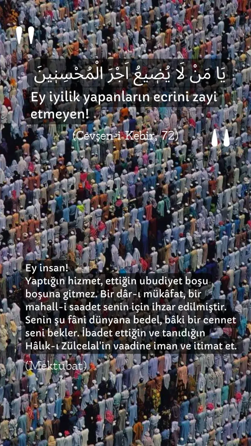 Vecize