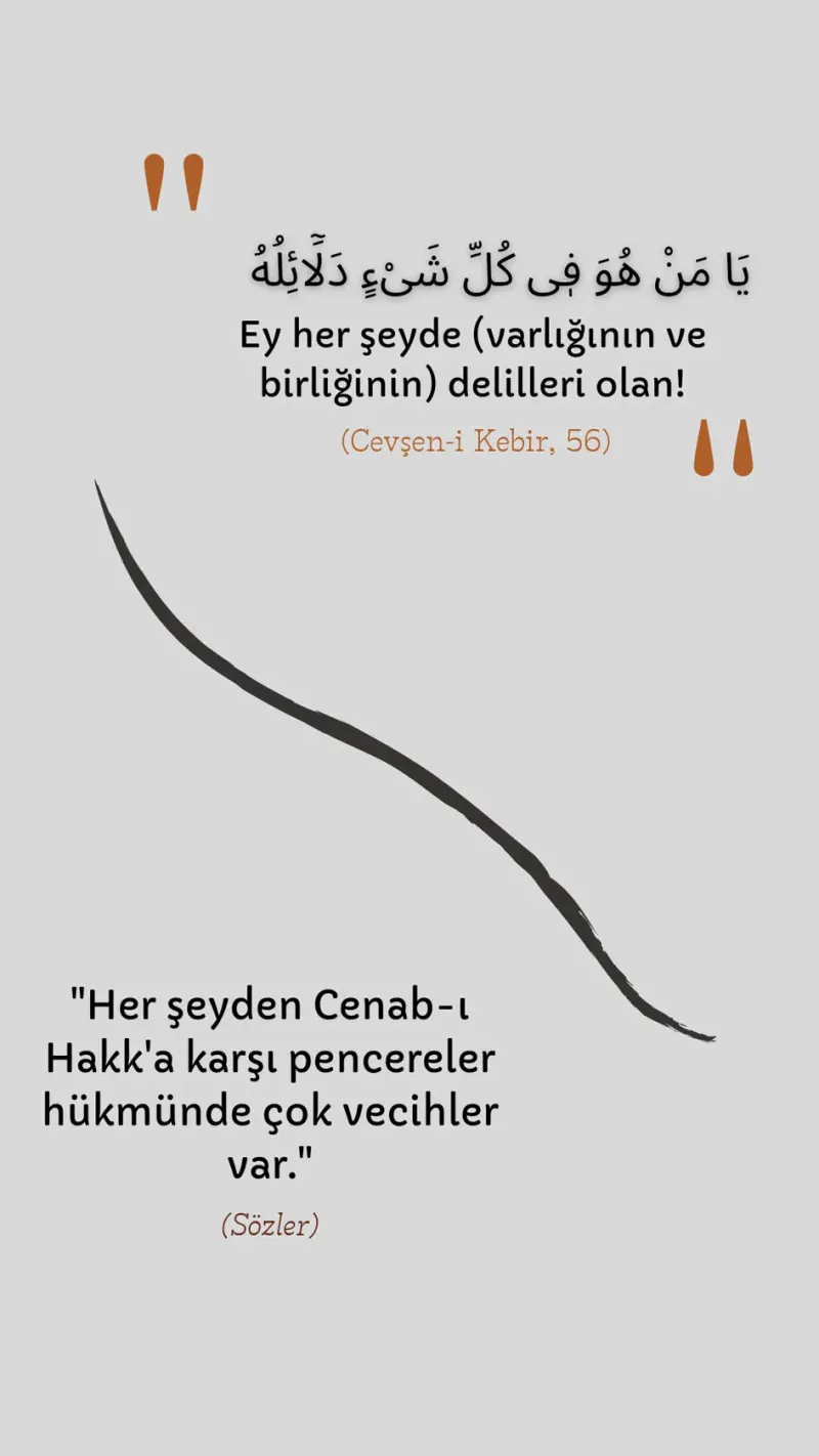 Vecize