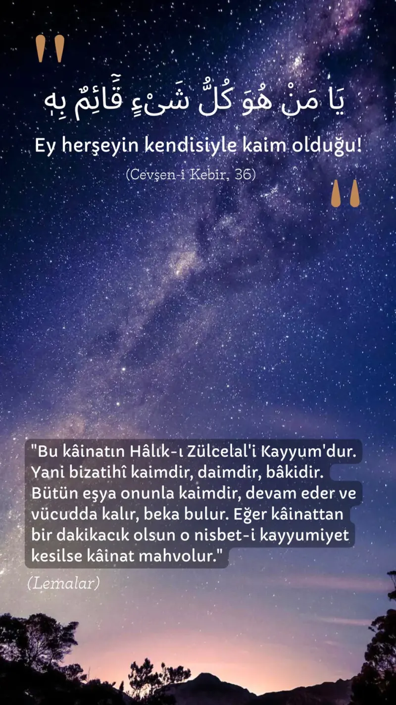 Vecize