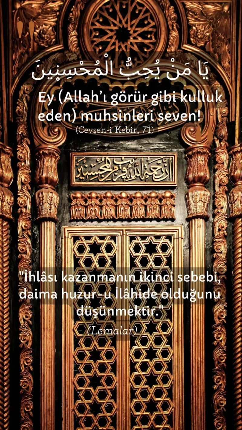 Vecize