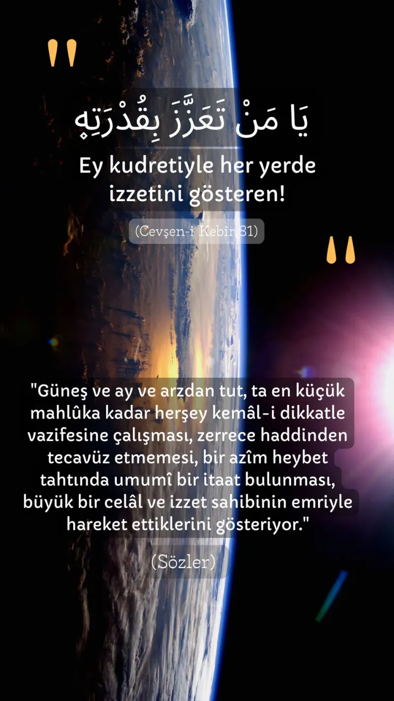 Vecize