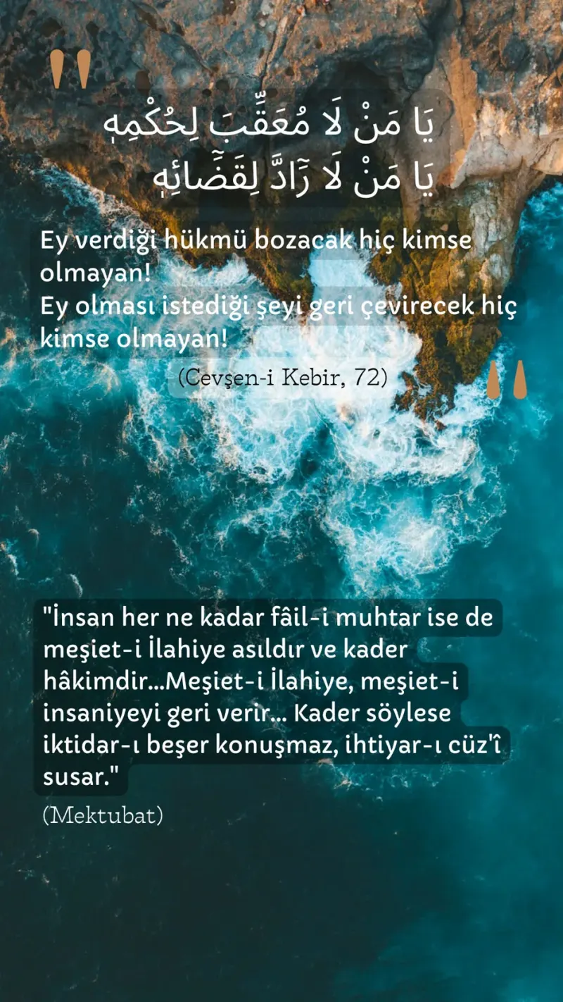 Vecize
