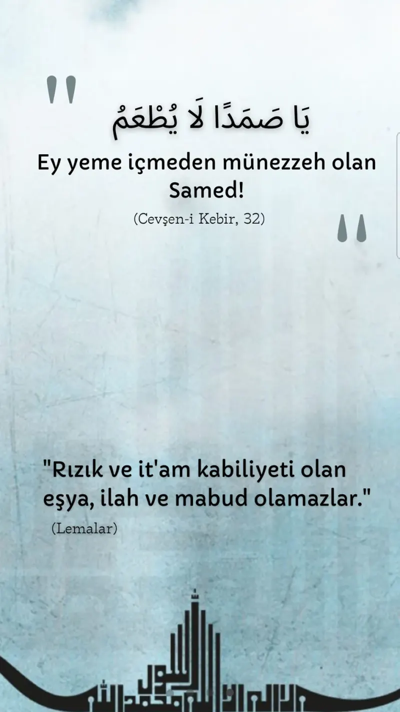 Vecize