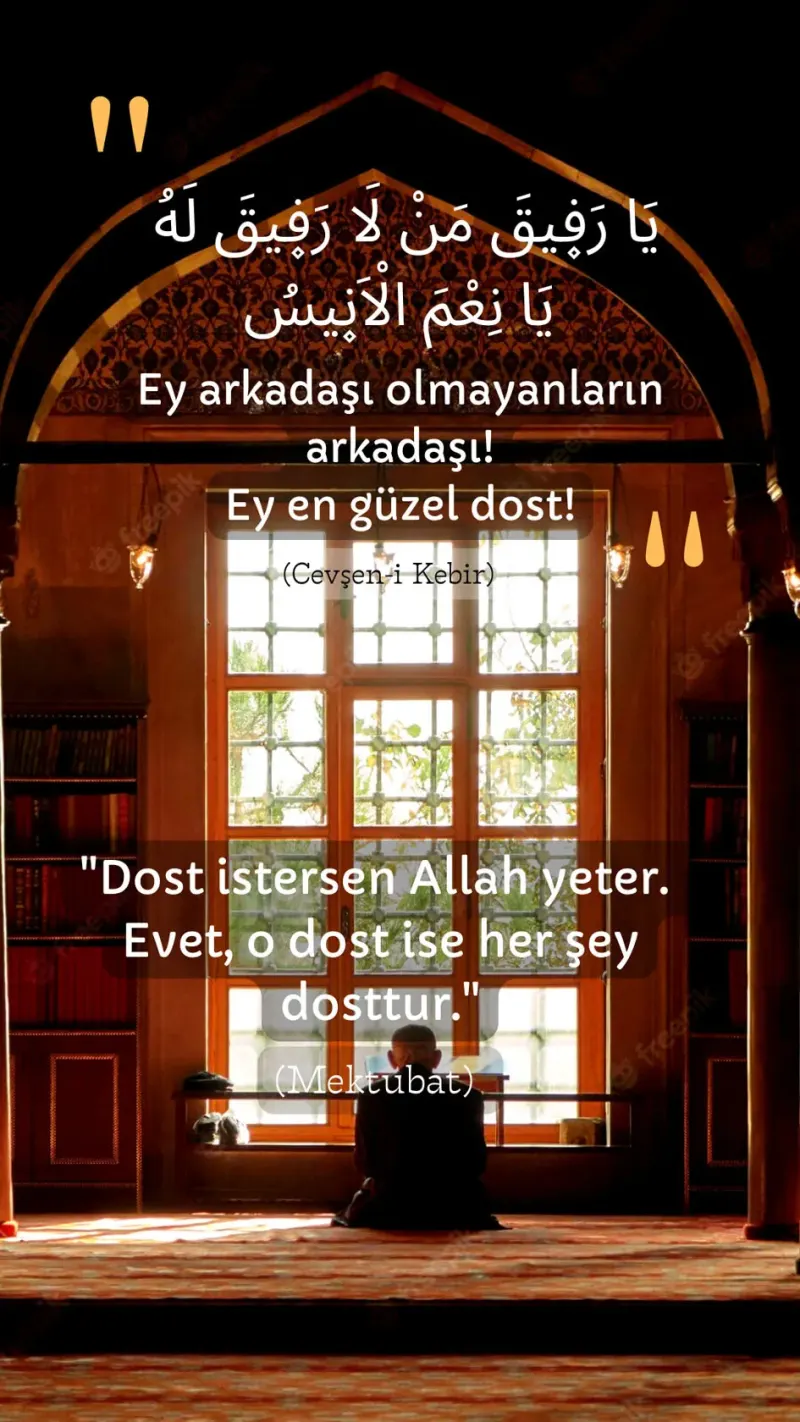 Vecize