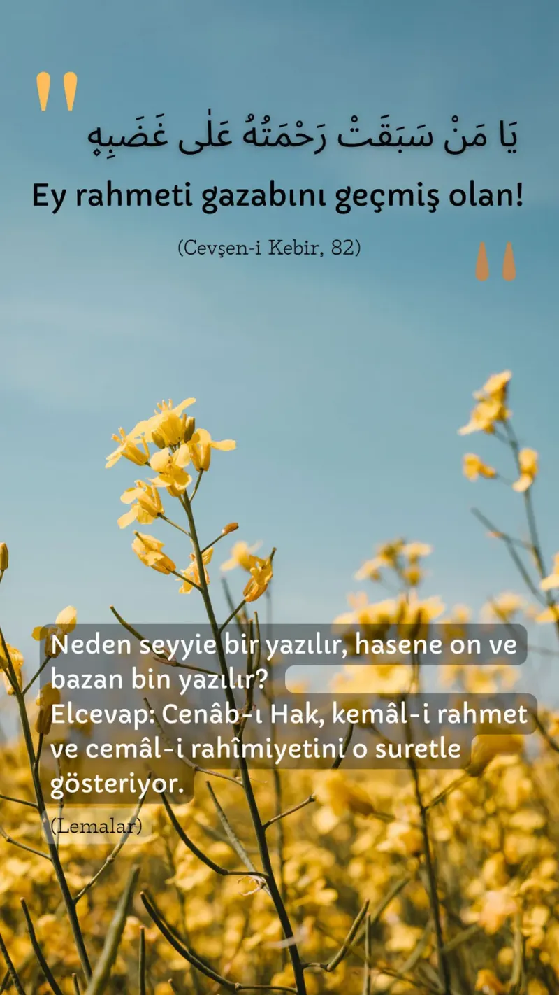 Vecize