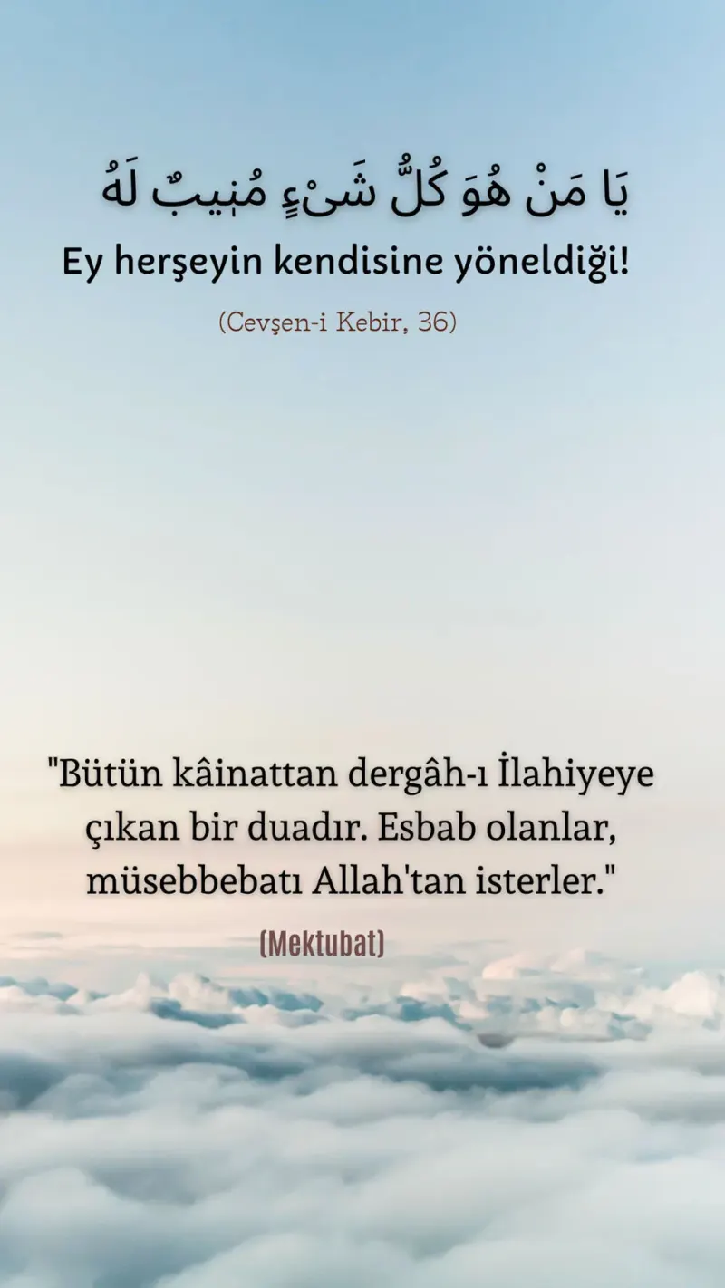 Vecize