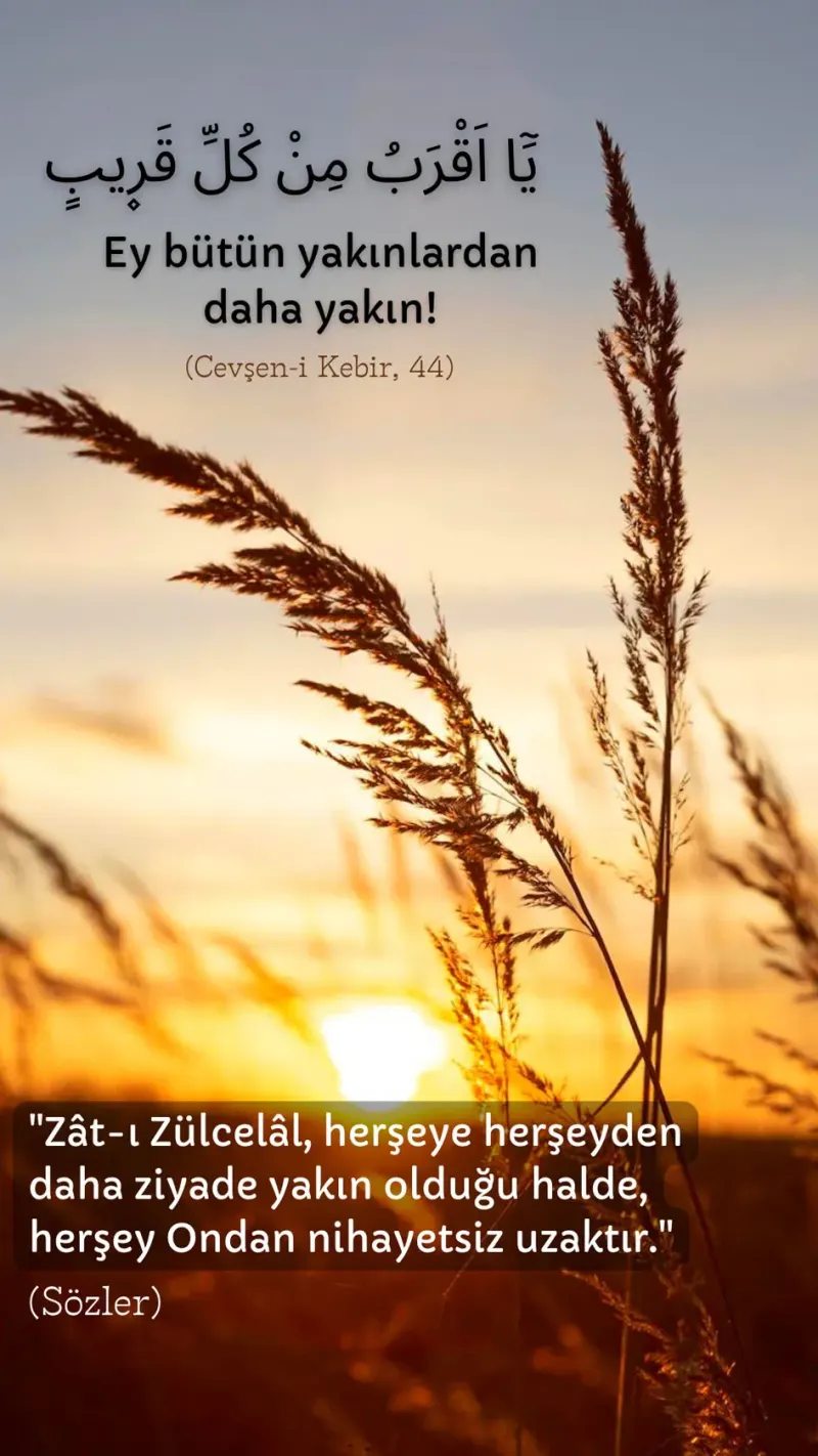 Vecize