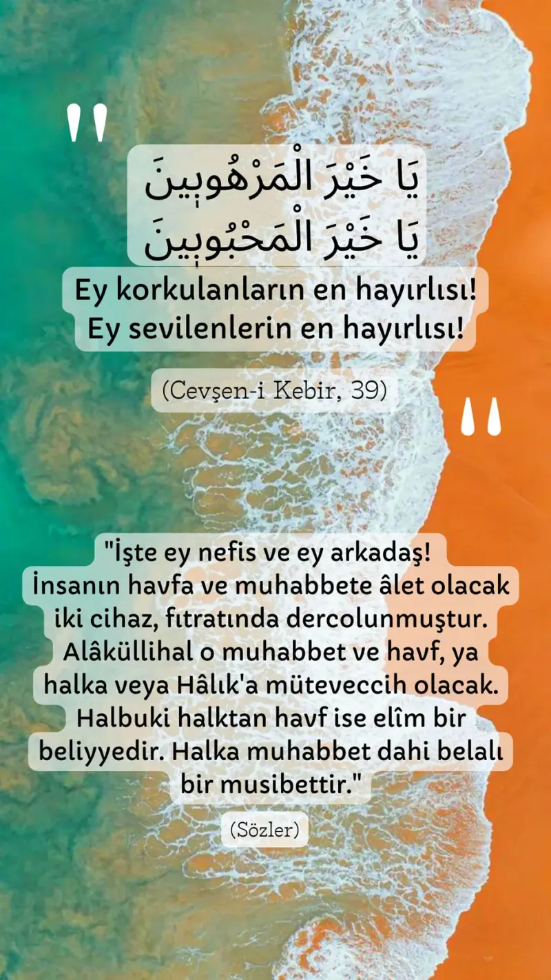 Vecize