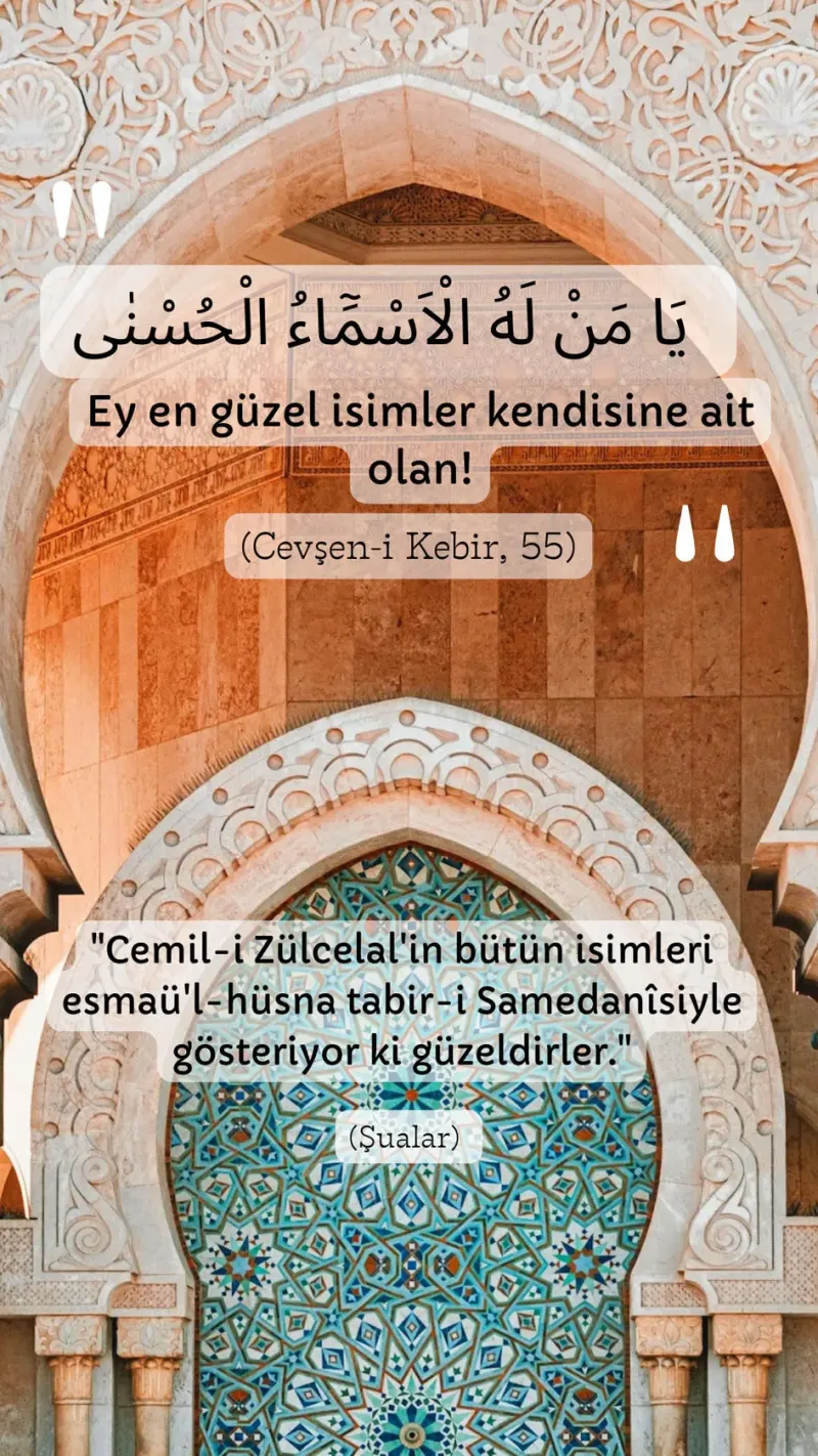 Vecize