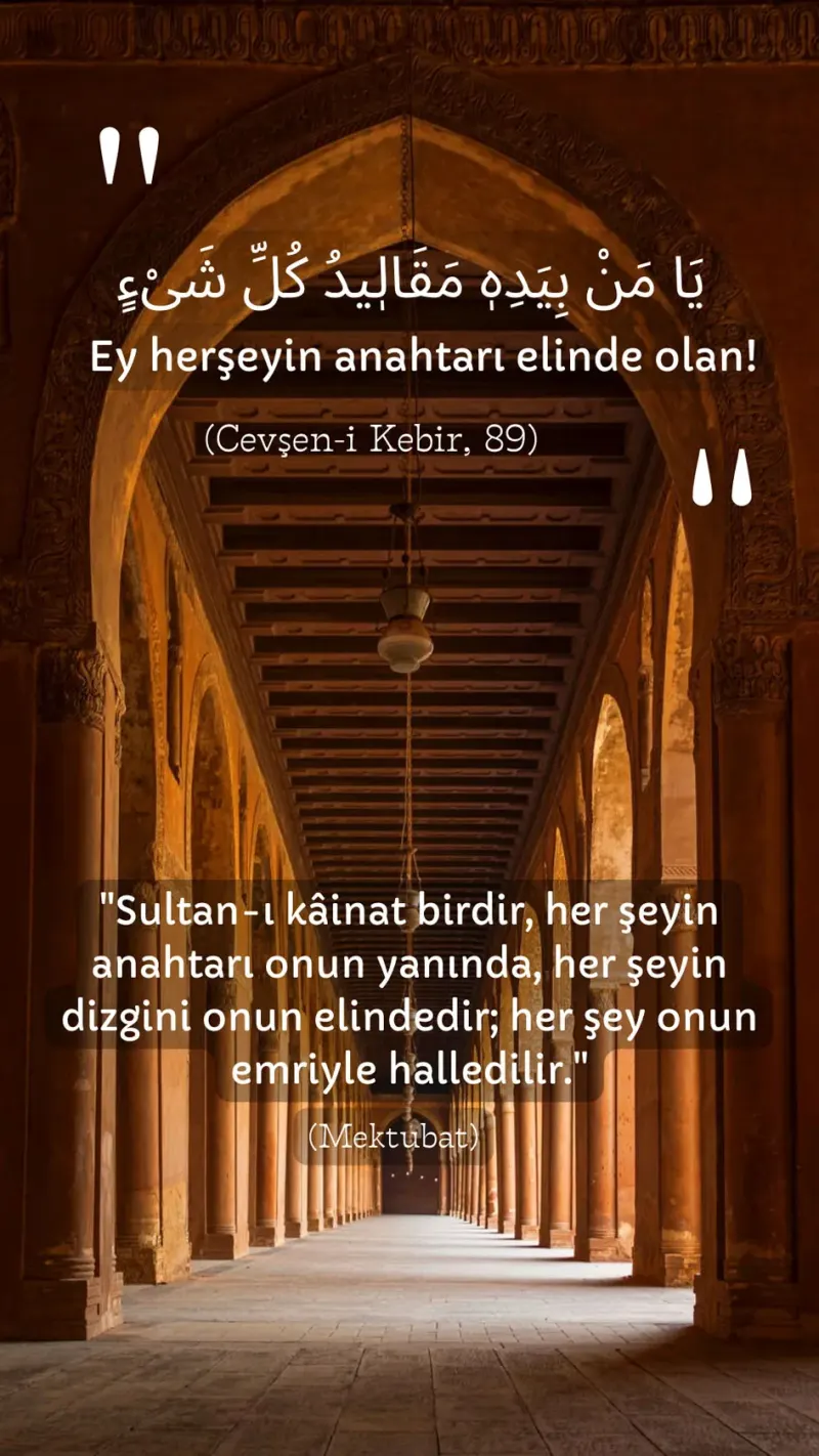 Vecize