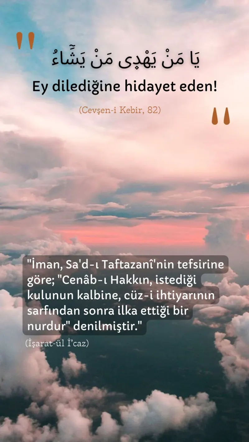 Vecize