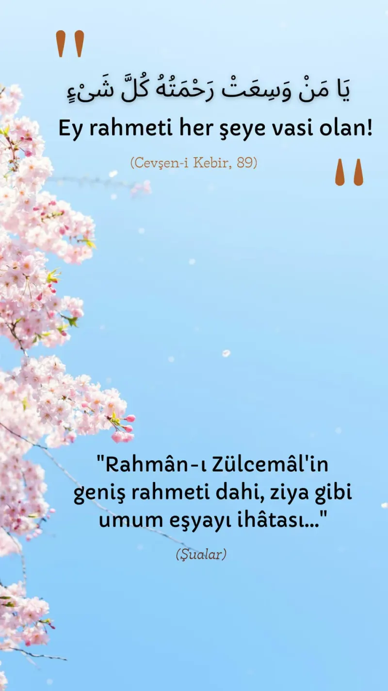 Vecize