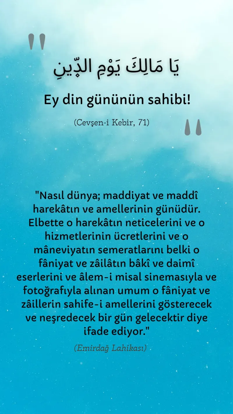 Vecize