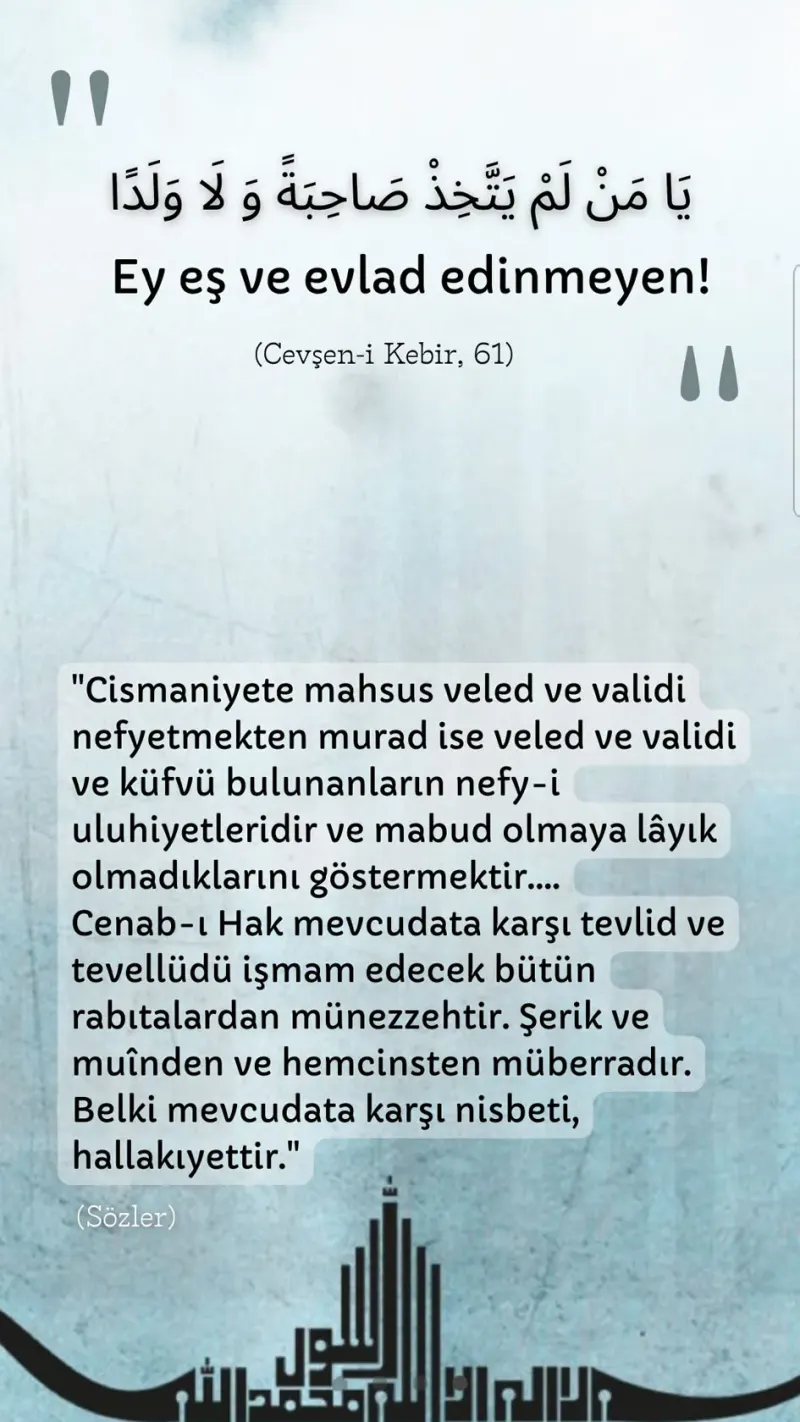 Vecize