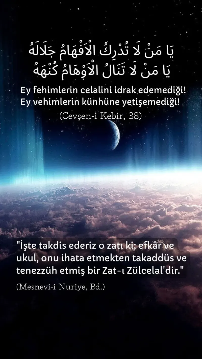 Vecize