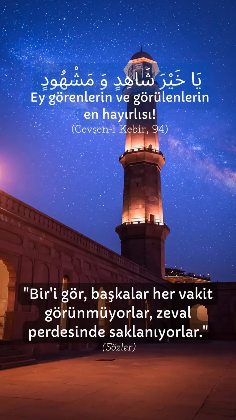Vecize