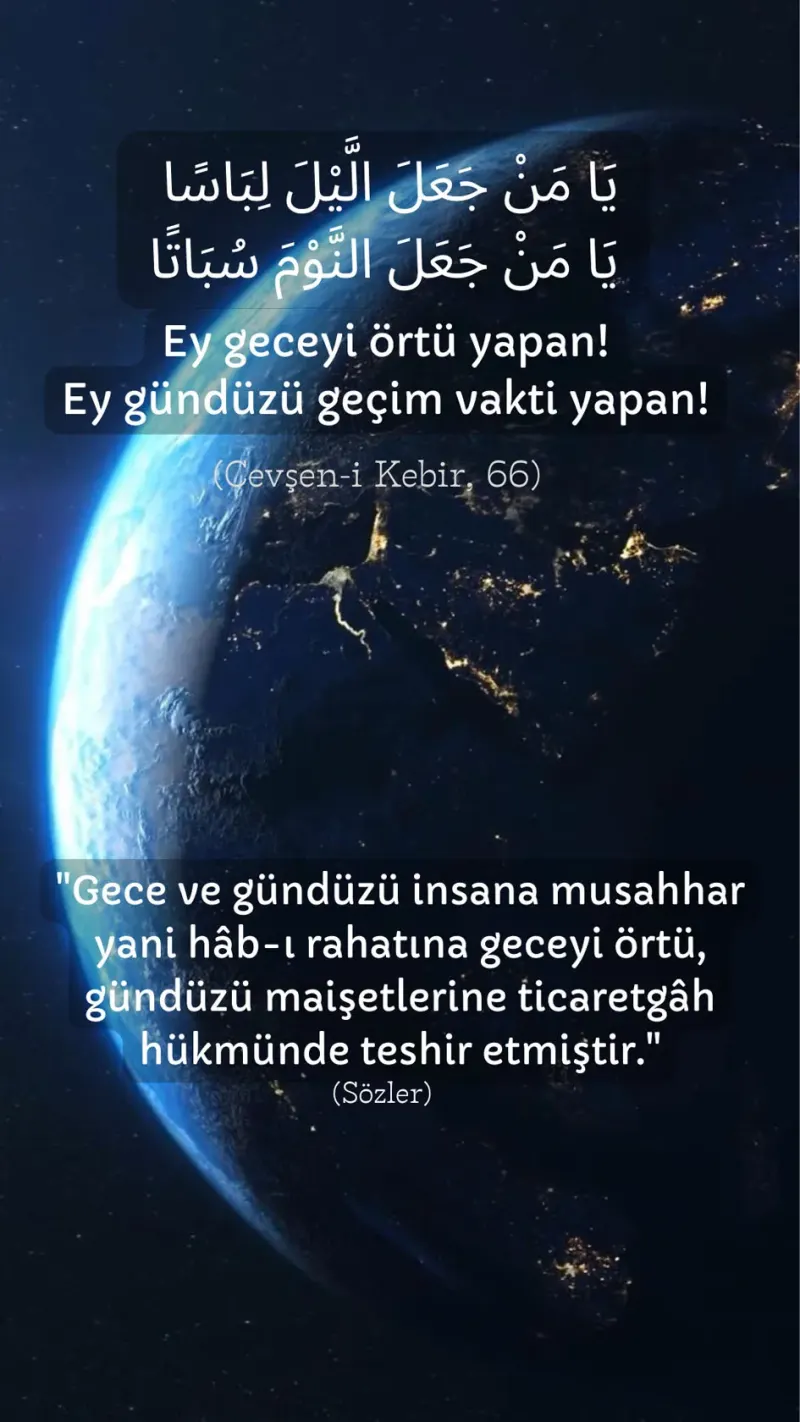 Vecize