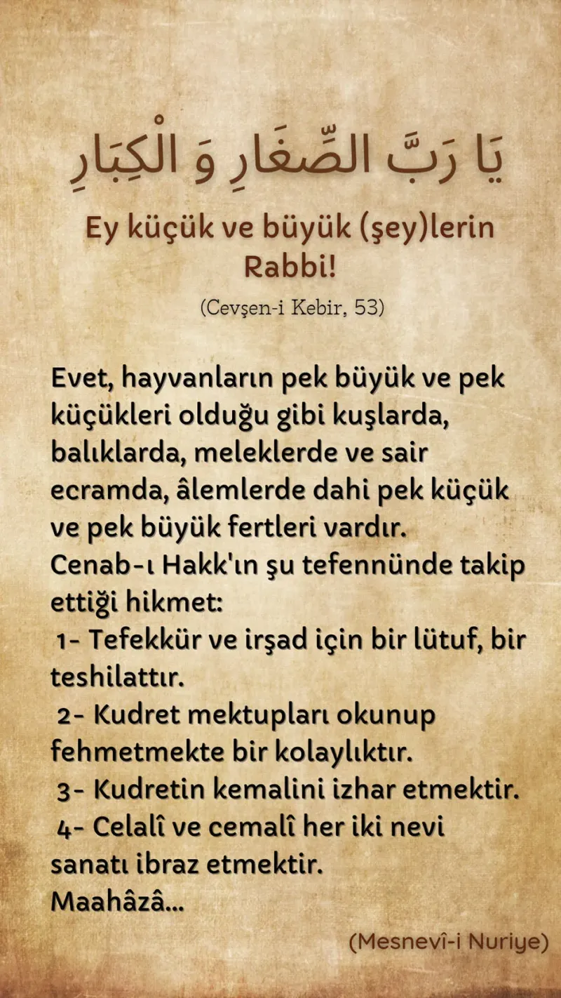 Vecize