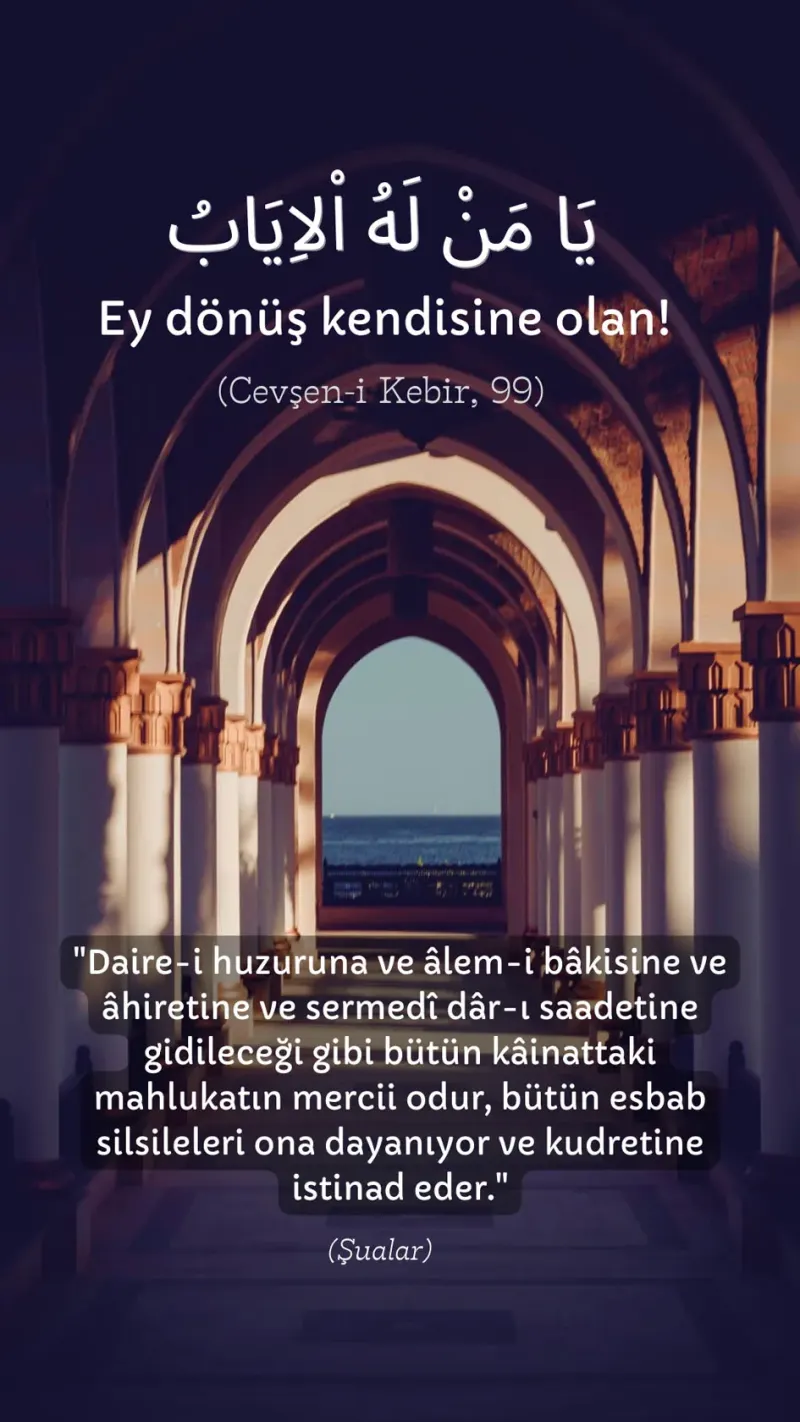 Vecize