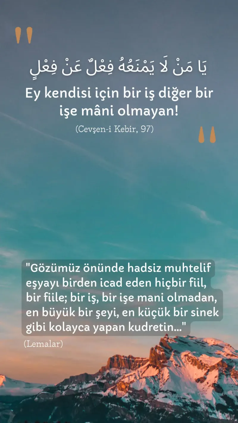 Vecize