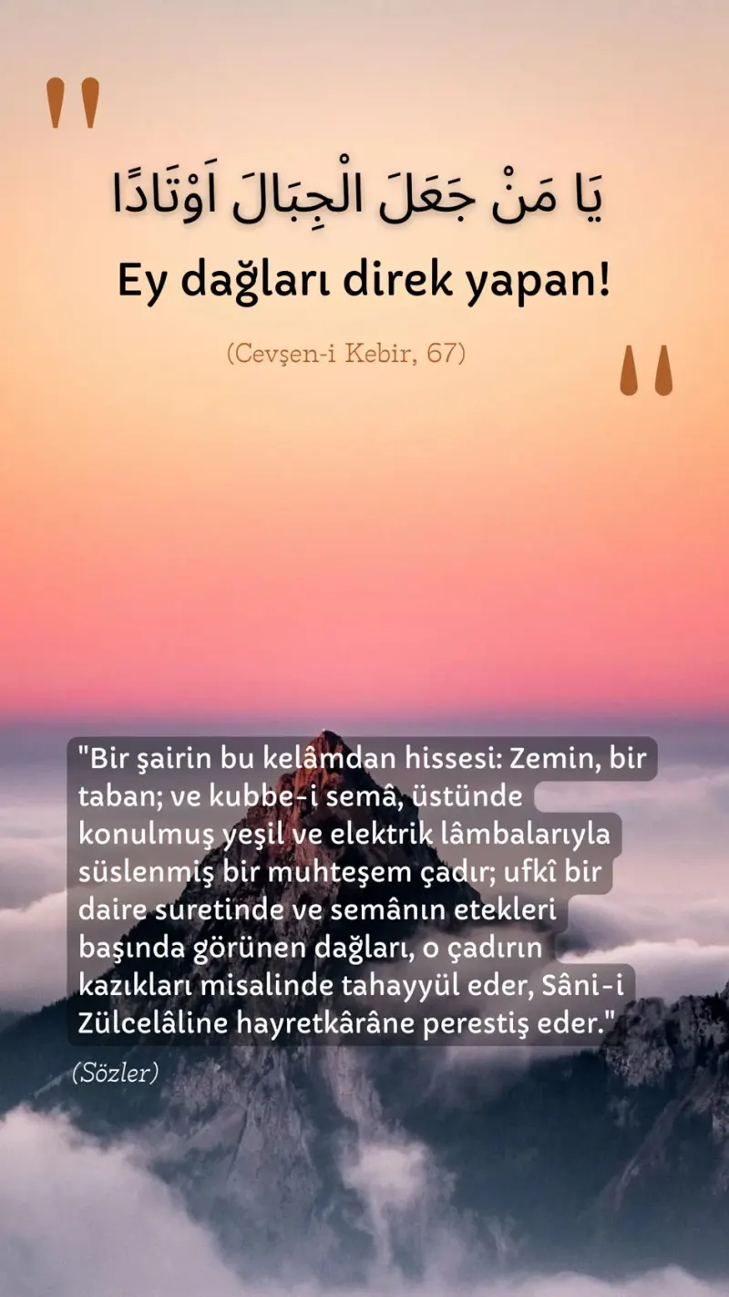 Vecize