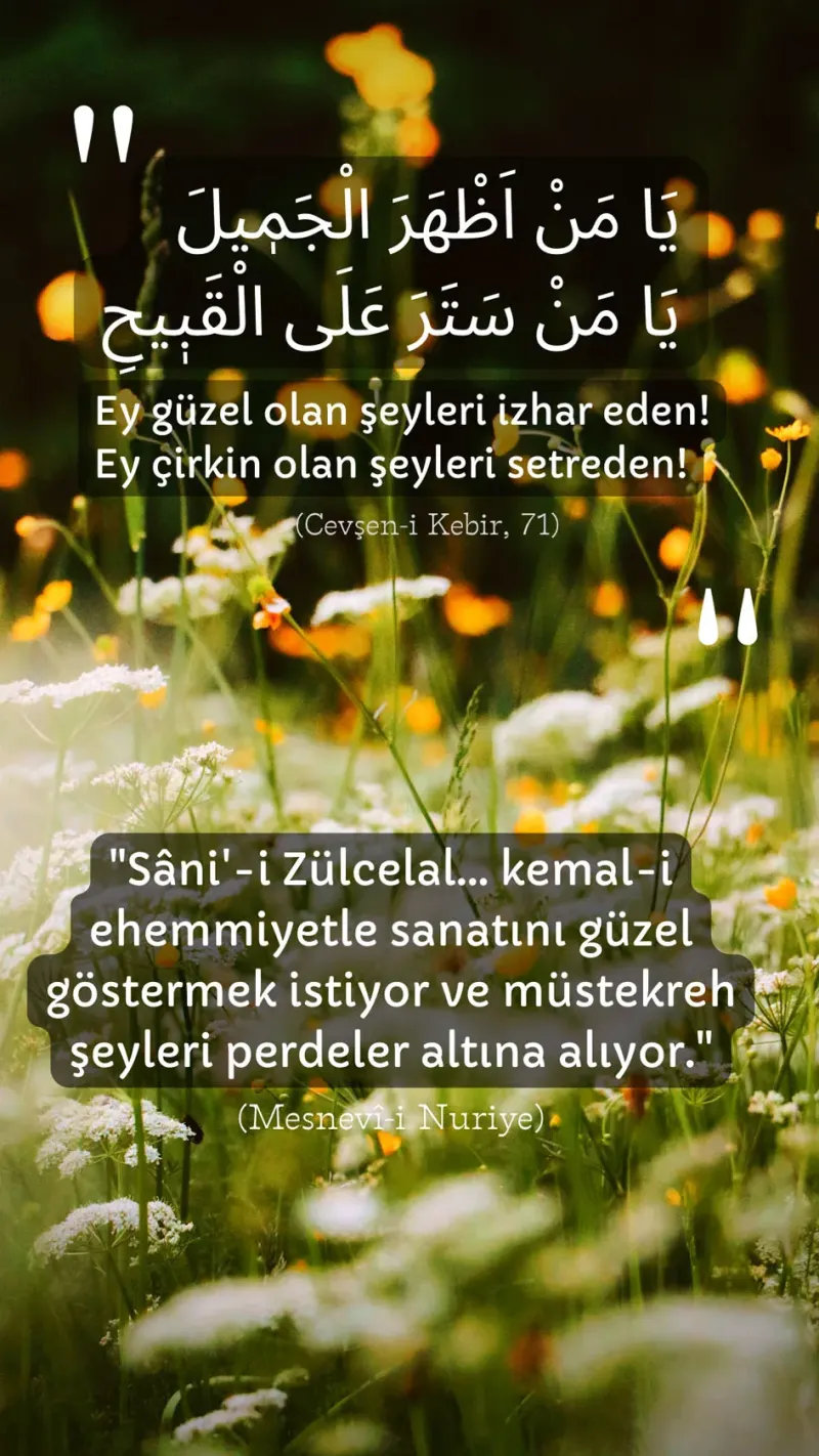 Vecize