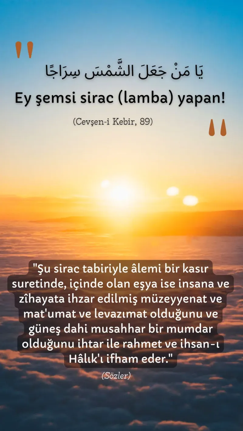 Vecize